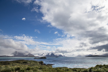 South Georgia, The landscape of the Bay of Isles from Prion Island
