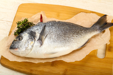 raw dorada fish