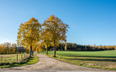 Autumn in the countryside of Ostergotland, Sweden on a sunny day in October 2017
