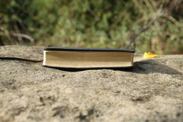 Kleines Buch auf dem Fels