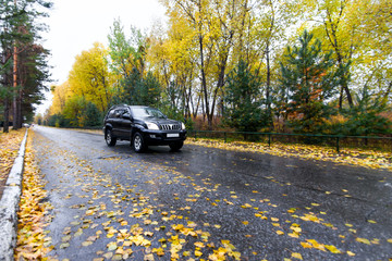 Black japanese SUV on autumn road
