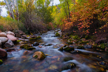 Beautiful  Colorado Mountain Stream with Autumn Colors