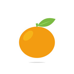 Orange fruit icon vector