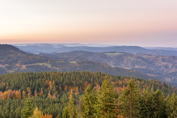 Fototapeta na wymiar Autumn landscape - Black Forest. View over the autumnal Black Forest and the Rhine valley at sunrise.