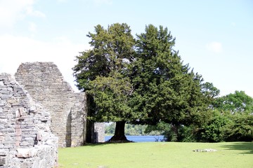 Old Ruins of an Irish Monastery  