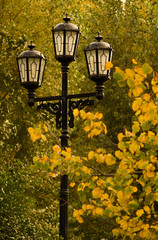street lamp in an autumn park