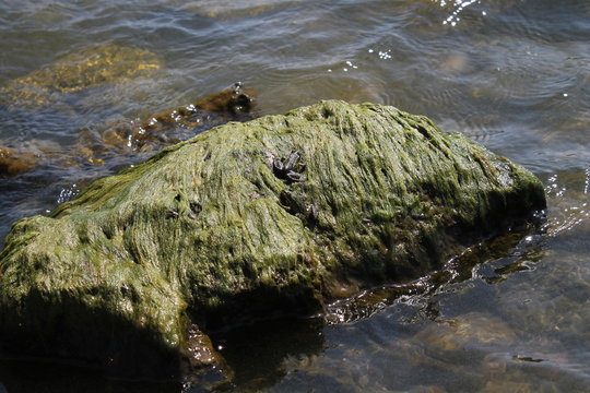 lake sevan