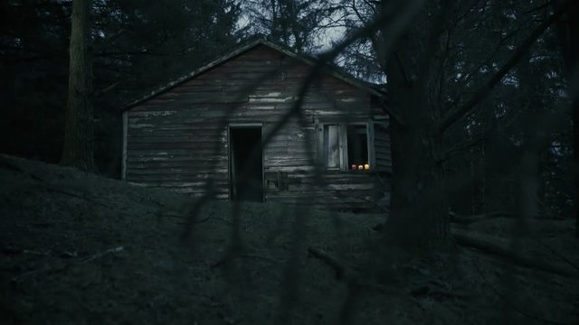 Old Cabin in the woods