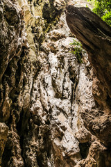 The pattern of the cave walls