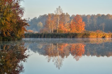 Fototapeta premium Beautiful autumn landscape. Colorful trees by the lake.