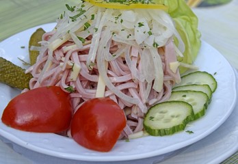 eine portion Wurstsalat angerichtet garniert mit Zwiebeln Tomaten und Gurkenserviert  auf einem weissen Teller