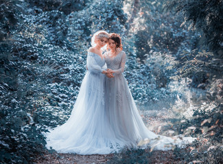 Two beautiful princess girls are walking in luxurious dresses with a long train. The background is beautiful nature in cold winter, artistic tones. Fairytale Photography