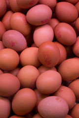 fresh brown eggs background