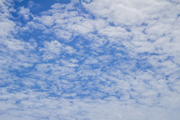 Fototapeta na wymiar Blue skies are cloudy