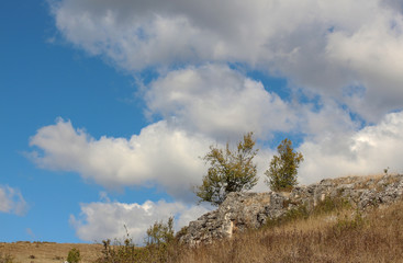 Obraz premium Landscape with beautiful fluffy clouds over autumn field