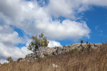 Landscape with beautiful fluffy clouds over autumn field