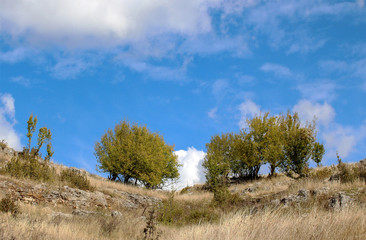 Landscape with beautiful fluffy clouds over autumn field