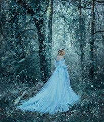 Obraz na płótnie Canvas fantasy girl princess is winter. The Queen in luxurious blue long medieval glamour dress bears cold walk in wood, forest, tree fall snow. Artistic Photo. Woman snow queen. Back rear view, go away