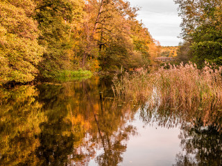 Autumn landscape. Small lake and trees in background.