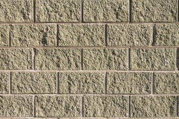 A new wall of green decorative brick for the background.