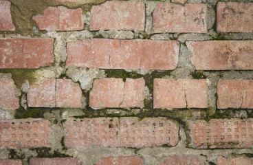 Old wall of red brick for the background.