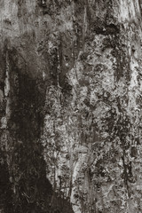 Fototapeta premium Old wall abstract background.