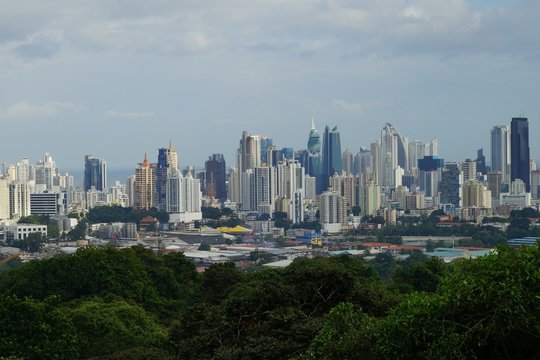 A view of Panama City Skyline with a forested area in the foreground