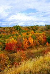 Fototapeta premium Autumn landscape, beautiful yellow and red trees, road, mountainous area against the cloudy sky. Weather, steppe, grass