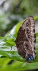 Natures Beauty as a Whole