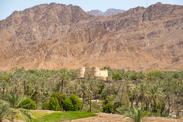 Al Bithnah Fort, Fujairah, UAE