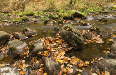 Part of mountain creek. Swiss