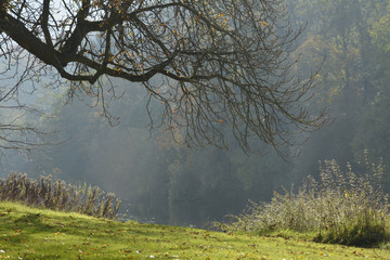  herbstliche landschaft am naheufer bei bad-kreuznach