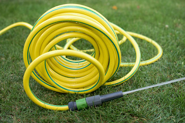 Hose pipe on a grass