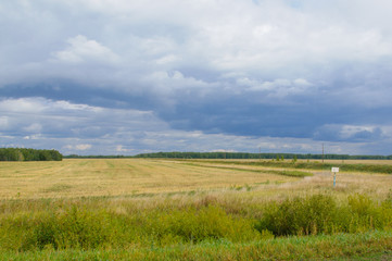 Obraz premium Ландшафт