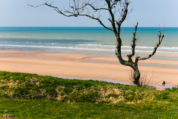 Beach in Normandy