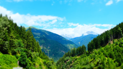 Fototapeta na wymiar Austrian alpine green summer forest, Raggachlucht, Austria
