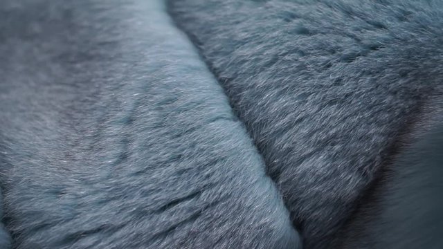fur coat from natural fox fur, blue color close-up