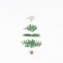 Fototapeta na wymiar Christmas tree made of winter plants. Christmas, winter, new year concept. Flat lay, top view, square