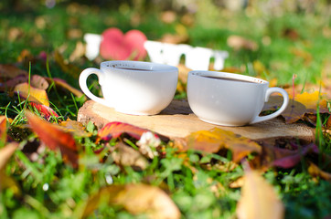 Autumn leaves around coffee pots