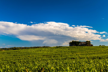 Summer day in the italian countryside