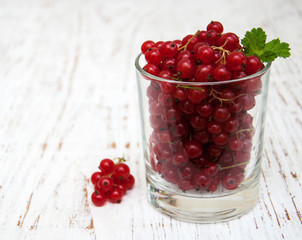 fresh red currant