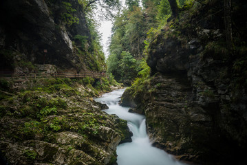 Fototapeta na wymiar Vintgar Gorge, Slovenia