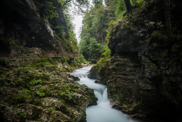 Vintgar Gorge, Slovenia