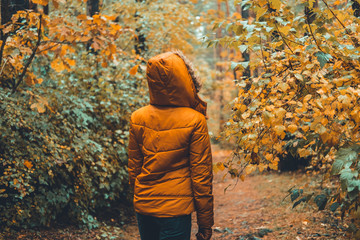 Walking in the autumn park. Autumn girl standing backwards and watching nature