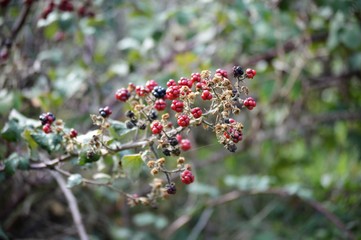 Refugio Fuente Lartica Luesia Aragon Espa&ntilde;a