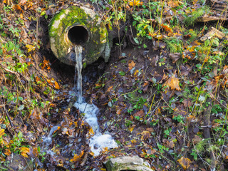 Pure water flows from a spring in the nature.
