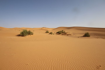 Maroc