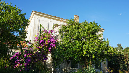 old houses in the croatian town of dubrovnik