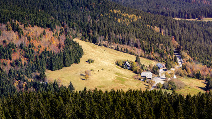 Beautiful Autumn Colored Feldberg Meadow