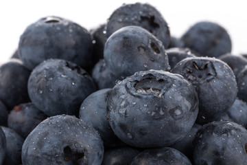 blueberries isolated close up